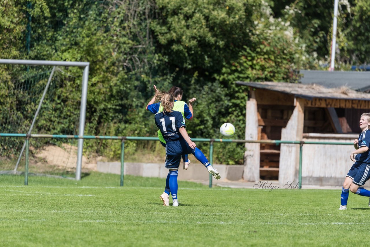 Bild 146 - B-Juniorinnen VfL Pinneberg - HSV : Ergebnis: 1:4